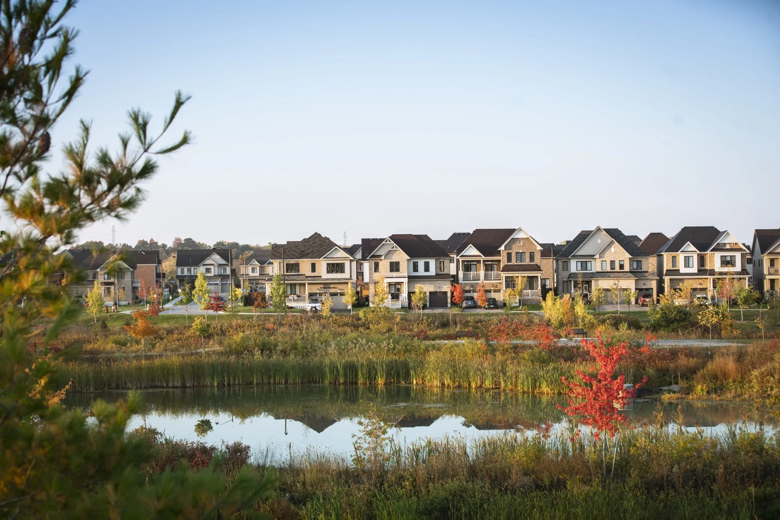 Home avalon communitypond